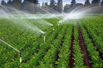 بهرهبرداری بیش از ۴۵طرح کشاورزی در قزوین بهرهبرداری بیش از ۴۵طرح کشاورزی در قزوین