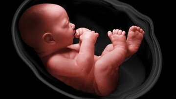 آیا جنین سقط شده، غسل و کفن دارد؟ آیا جنین سقط شده، غسل و کفن دارد؟