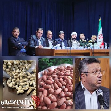 مدیر جهاد کشاورزی شهرستان آستانهاشرفیه:آغاز فصل برداشت بادامزمینی در آستانهاشرفیه؛ تأکید بر برداشت بهموقع و افزایش بهرهوری مدیر جهاد کشاورزی شهرستان آستانهاشرفیه:آغاز فصل برداشت بادامزمینی در آستانهاشرفیه؛ تأکید بر برداشت بهموقع و افزایش بهرهوری