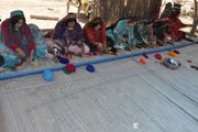 تشکل‌های عشایری؛بازوی اصلی خدمت‌رسانی به جامعه عشایری فارس 