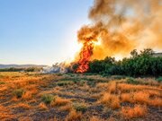 مهار آتش‌سوزی تالاب نوروزلو