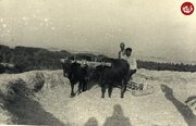 عکس/ خرمن‌کوبی در زرگنده؛ دهه ۲۰