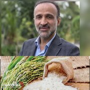نماینده مردم آستانه در مجلس حمایت از تولید داخل را راهکار مهم حفظ امنیت غذایی دانست.