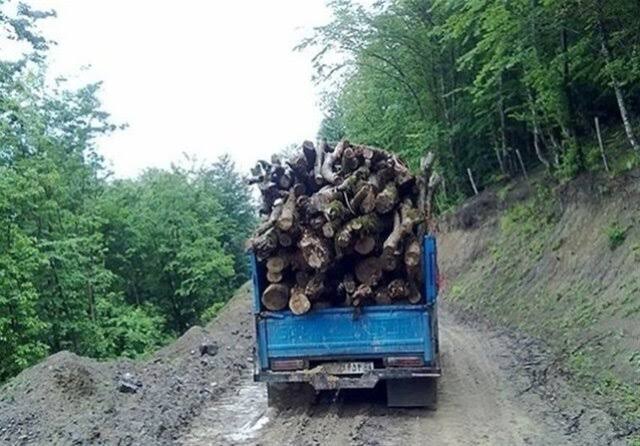 قاچاقچیان چوب‌ های جنگل نمین به حبس و تبعید محکوم شدند