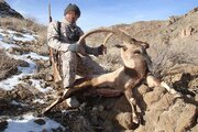 شکارچیان بز وحشی و خرس در الموت دستگیر شدند