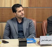طاهرخانی رئیس تکواندو قزوین ماند