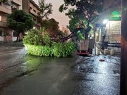 طوفان تهران به‌خیر گذشت