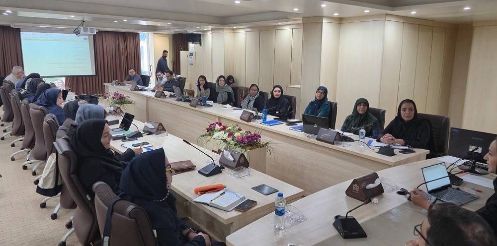 برگزاری ۲ کارگاه و ۳ نشست در «مدرسه تابستانی آموزش زبان فارسی به غیرفارسیزبانان»