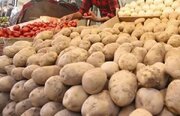 ممنوعیت صادرات سیب‌زمینی پیاز و گوجه‌فرنگی در فارس