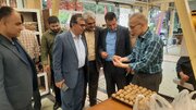 پرداخت بیش از ۴ هزار میلیارد ریال تسهیلات به تعاونی‌های مازندران