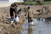 نجات ماهی‌های زاینده‌رود از رودخانه نیمه‌جانِ اصفهان/عملیات ادامه دارد