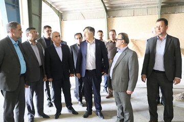 بازدید معاون وزیر جهادکشاورزی از روستابازار نمونه بوئینزهرا