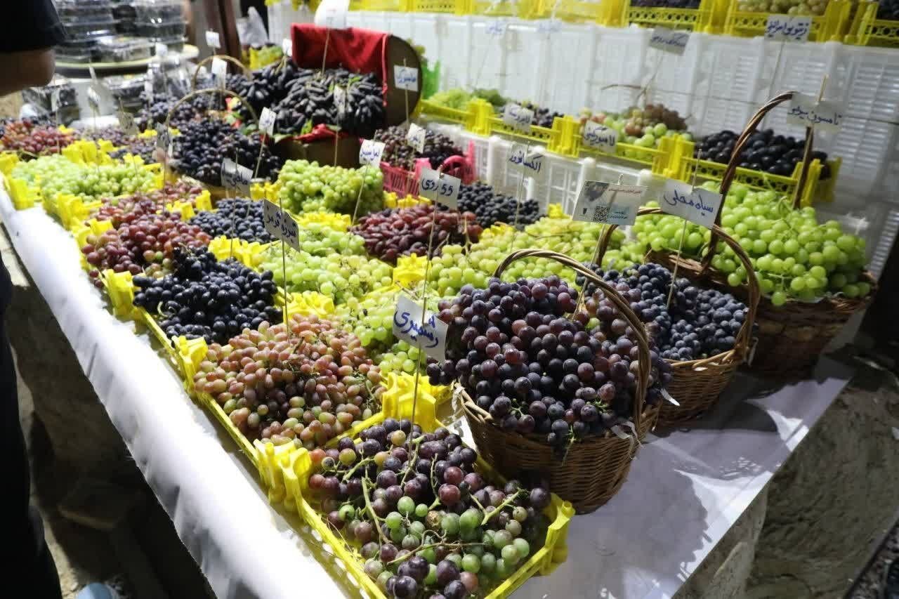 نهمین جشنواره انگور ارومیه