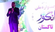 جشنواره ملی انگور در تاکستان افتتاح شد