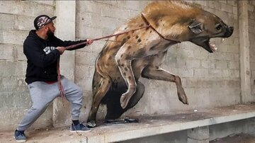 نقاشیهای برجستهای که زنده تصور میشوند/ نگاهی به آثار کادرگریز سرجیو اودیث؛ نقاش پرتغالی نقاشیهای برجستهای که زنده تصور میشوند/ نگاهی به آثار کادرگریز سرجیو اودیث؛ نقاش پرتغالی