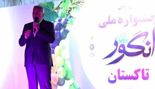 جشنواره ملی انگور در تاکستان افتتاح شد