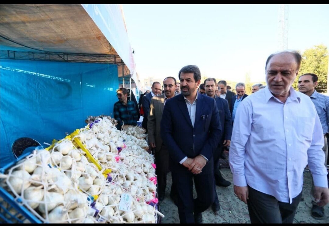 از حدود ۱۰۰ هزار تن سیر تولیدی کشور، ۵۳ هزار تن در همدان تولید می‌شود
