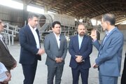 تشکیل کارگروه تخصصی برای ارزیابی خسارات ساختمان جهاد کشاورزی لرستان