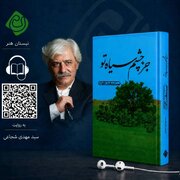 کتاب صوتی «جز چشم سیاه تو» سیدمهدی شجاعی منتشر شد