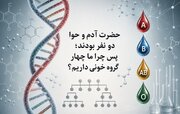 راز چهار گروه خونی؛ اگر نسل بشر از آدم و حوا آغاز شد، تفاوت‌ها از کجا آمد؟