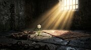 عسکرنشین عرش‌آشیان؛پادگان عباسی خانقاه سیر و سلوک