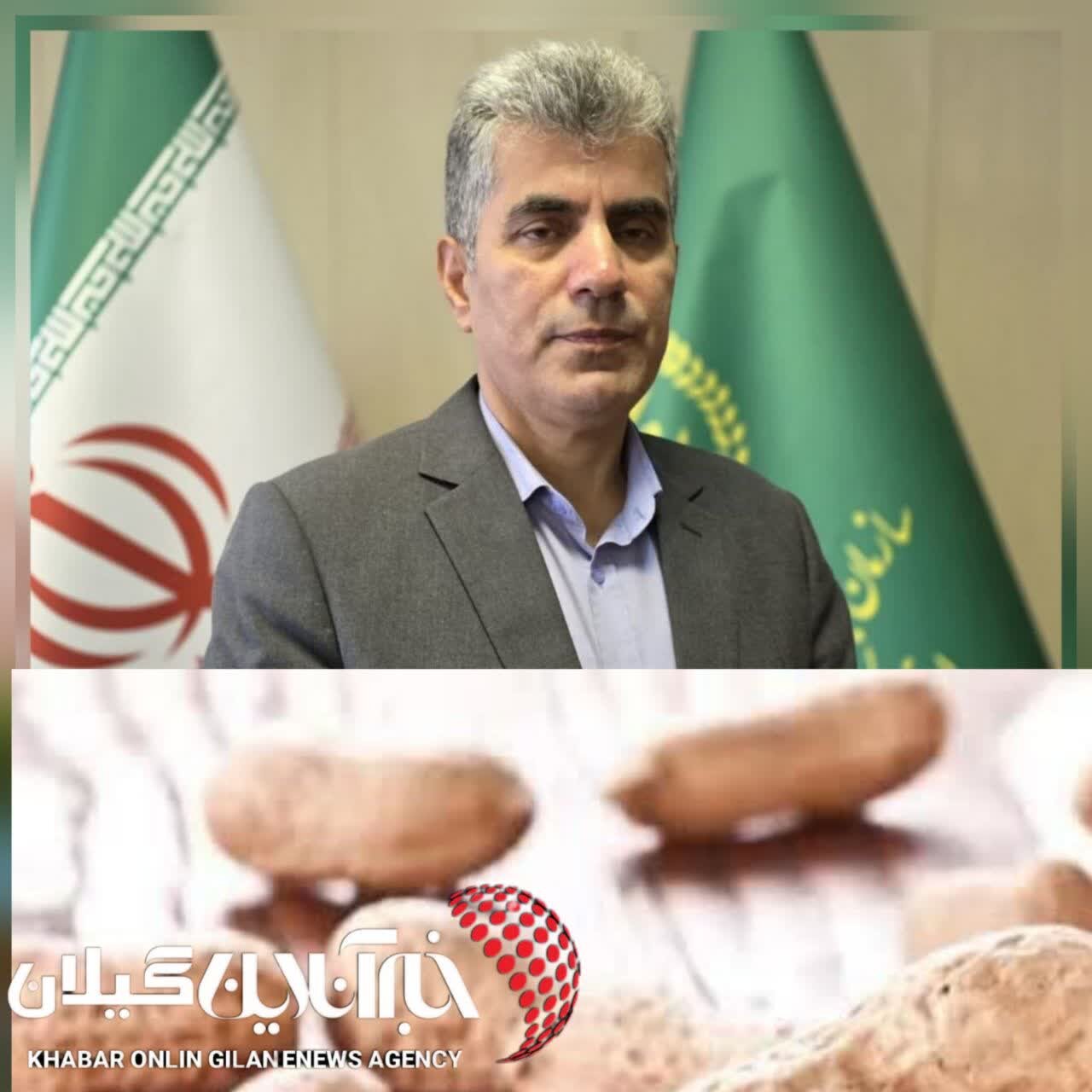 رئیس سازمان جهاد کشاورزی استان خبر داد:پایان برداشت بادام زمینی گیلان با ارزش اقتصادی ۳.۴ همت رئیس سازمان جهاد کشاورزی استان خبر داد:پایان برداشت بادام زمینی گیلان با ارزش اقتصادی ۳.۴ همت