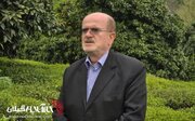 لاهوتی: همه دولت‌ها برای دور زدن تحریم سراغ تراستی‌ها رفتند