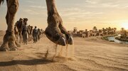 فراتر از یک سفر ساده؛ چرا حضور دختر امام کاظم نقطه عطف تمدنی برای شیعیان بود