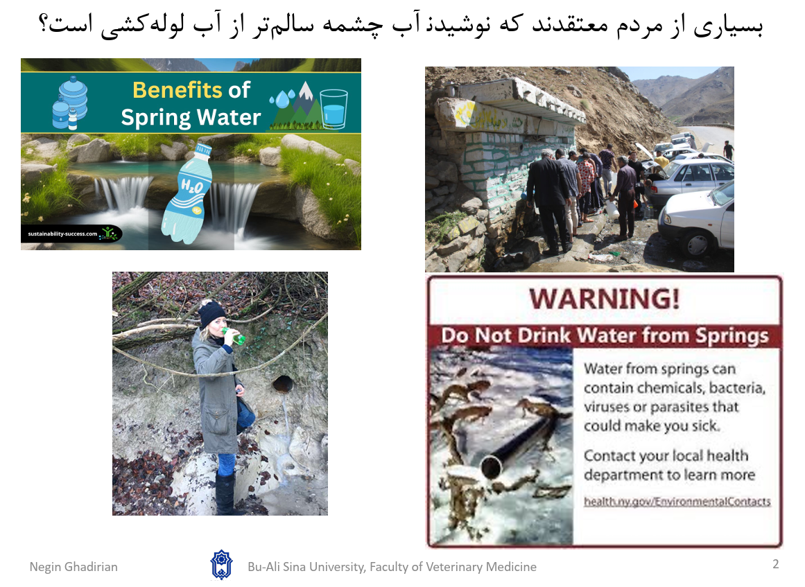 ۲۹ چشمه در همدان، کردستان و اصفهان بررسی شدند / کشف DNA دو انگل در آب چشمه‌های ایران / «طبیعی‌بودن آب به‌منزله سالم‌بودن آن نیست»