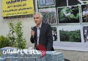 رئیس مرکز توسعه نوغانداری کشور:اجرای آزمایشی «نوغان‌یار» در روستاهای گیلان