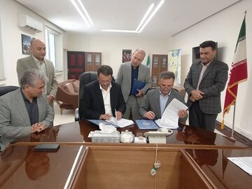ابفا2.jpg