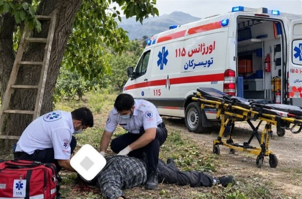 ۹۵ مصدوم و ۲ فوتی در پی سقوط از درخت گردو در همدان