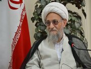 انتقد عضو خبرگان رهبری از عملکرد دولت/ اینکه کمبود نبوده، هنر دولت نیست/ در رابطه با  قیمت و قیمت‌گذاری، اصلاً موفق نبودند