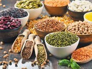 پروتئین فقط در گوشت نیست / ۵ گروه غذایی گیاهی برای تأمین پروتئین