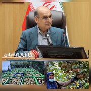 آستارا دروازه ورود محصول باغداران به بازارهای خارجی