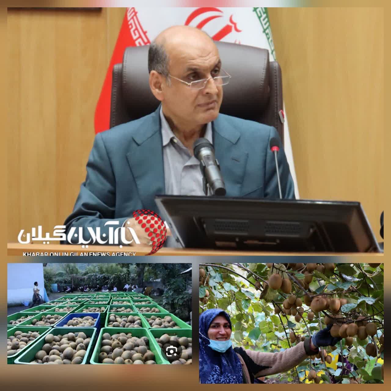 آستارا دروازه ورود محصول باغداران به بازارهای خارجی