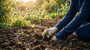 همنشینی سعدی با حکمت علوی؛ راز سلوک پیوسته در آینه شعر و احادیث