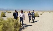 ضرورت شتاب‌بخشی به طرح‌های بیابان‌زدایی در استان کرمان / تاکید بر تسهیل سرمایه‌گذاری و حفظ ظرفیت‌های زیستی در راور