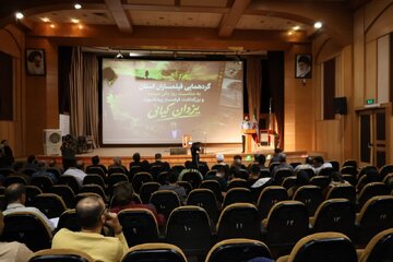 هنرمندان چهارمحال و بختیاری در قله‌های شهرت جهان