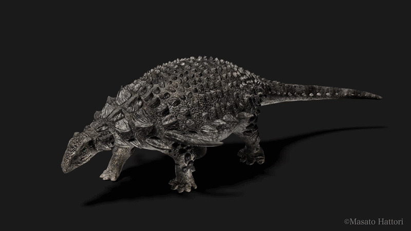 کشف گونه جدید دایناسور زره‌پوش در ژاپن