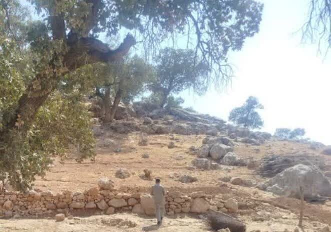 توقف ساخت‌وساز غیرمجاز دشت برم کازرون با دستور قضایی