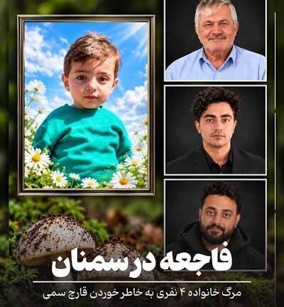 مرگ شوکه‌کننده ۴ عضو یک خانواده با خوردن قارچ سمی