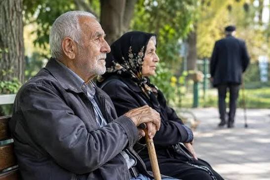۶۰ درصد سالمندان ایران حقوق ماهانه ندارند / ۲۳ درصد جمعیت فعال کشور درگیر سالمندان هستند