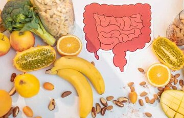 برای سلامت روده چی بخوریم؟/ ۱۵ انتخاب گیاهی مفید برای سلامت روده برای سلامت روده چی بخوریم؟/ ۱۵ انتخاب گیاهی مفید برای سلامت روده