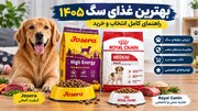 بهترین غذای سگ ۱۴۰۵ — راهنمای کامل انتخاب و خرید