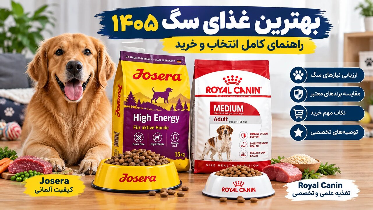 بهترین غذای سگ ۱۴۰۵ — راهنمای کامل انتخاب و خرید