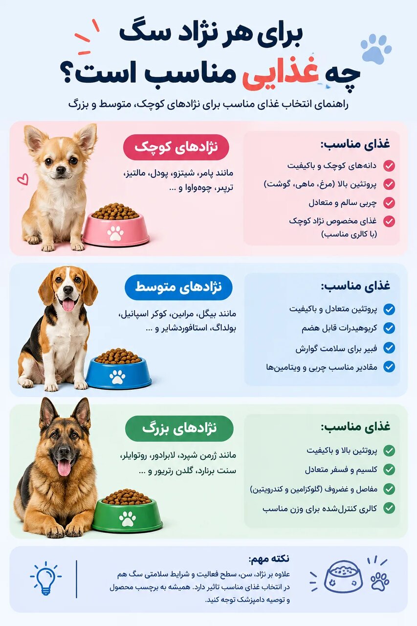 بهترین غذای سگ برای نژادهای مختلف