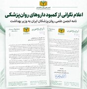 اعلام نگرانی از کمبود داروهای روانپزشکی/ سید وحید شریعت: کمبود دارو، فشار روانی و اقتصادی بر خانواده‌ها ایجاد کرده است