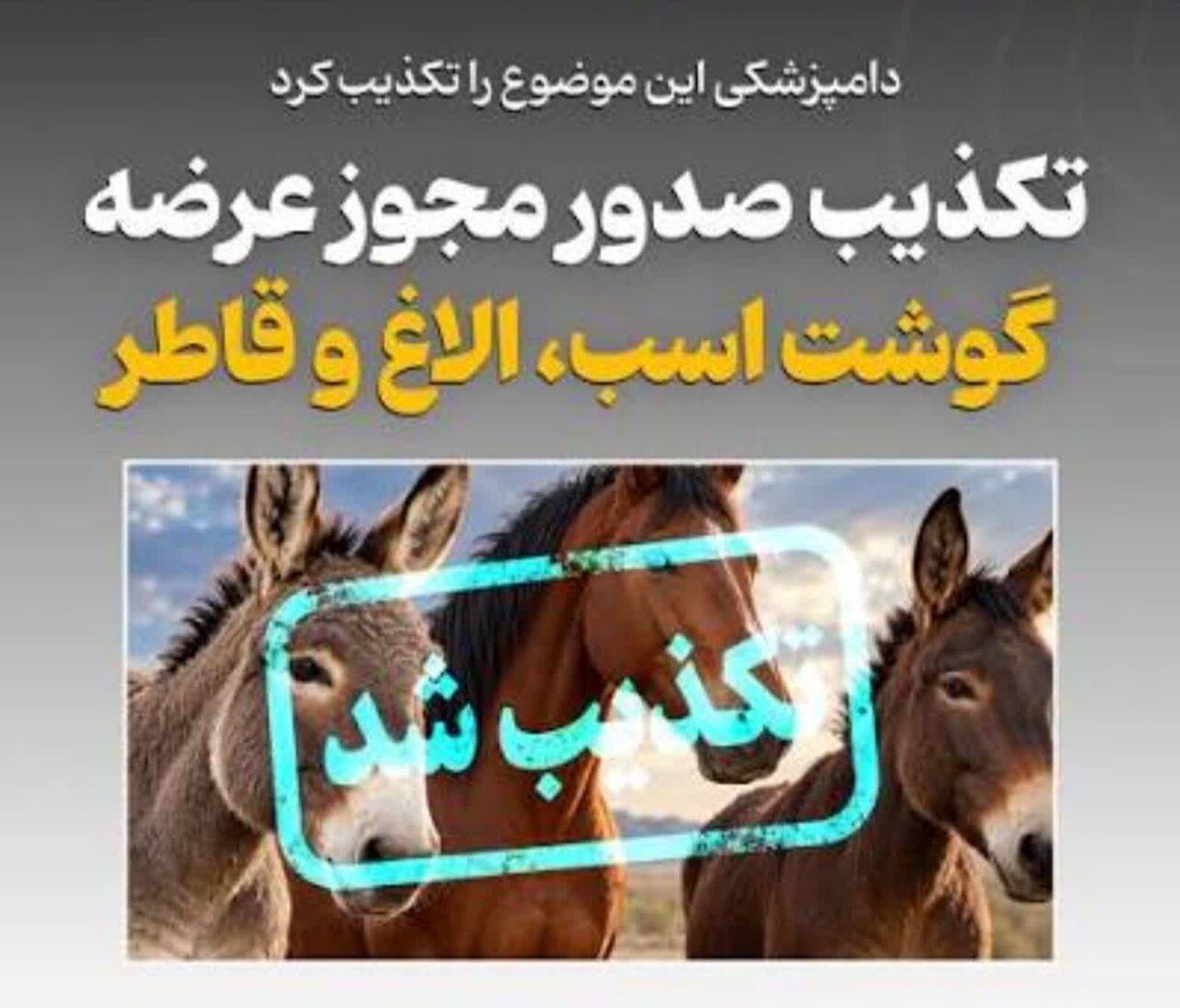 گوشت اسب و الاغ مجوز عرضه نگرفته است
