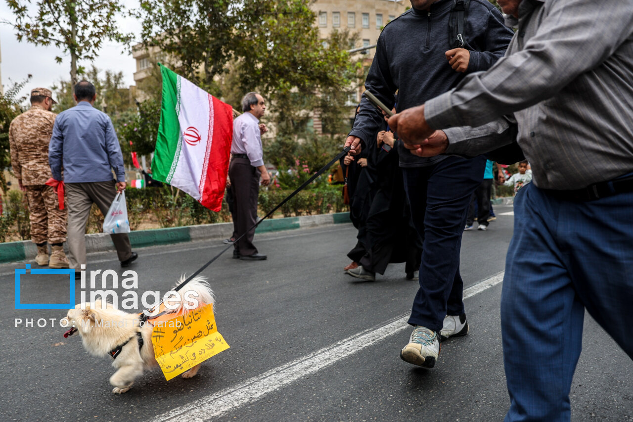 تصاویر رزمایش «جانفدایان» در کرج؛ از حضور عروسها و دامادها تا شعارنویسی روی کاغذ و نصب آن بر روی سگ؛ نتانیاهو مثل همین سگ به قلاده میکشیمت!